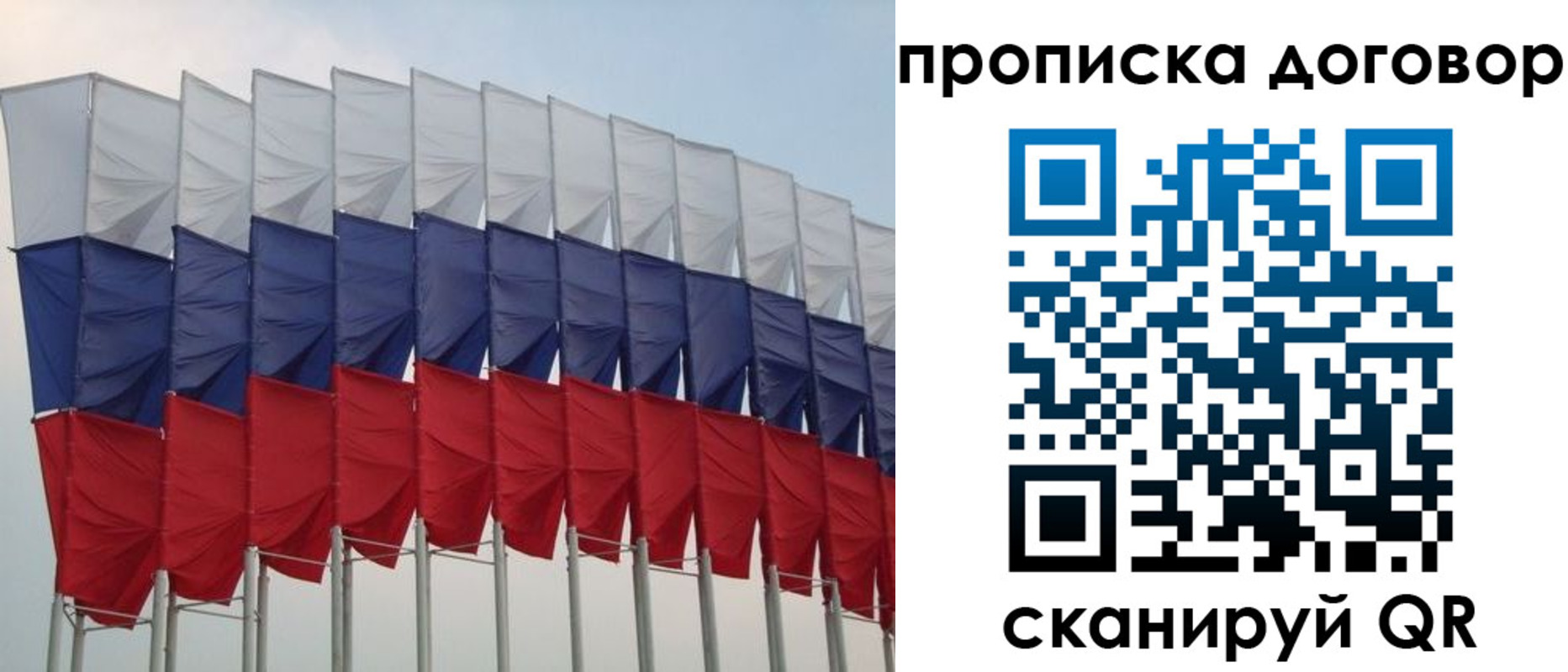 временная регистрация гарантия в Кингисеппе